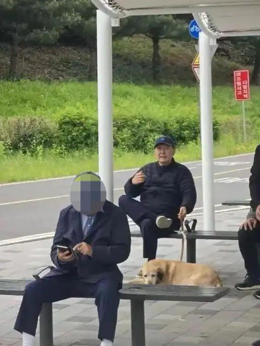 沪深策略 尹锡悦带3名保镖在公园悠闲遛狗, 韩在野党成员: 让他好好享受最后的出游吧