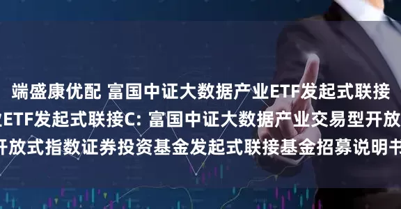 端盛康优配 富国中证大数据产业ETF发起式联接A,富国中证大数据产业ETF发起式联接C: 富国中证大数据产业交易型开放式指数证券投资基金发起式联接基金招募说明书(更新)(二0二五年第二号)